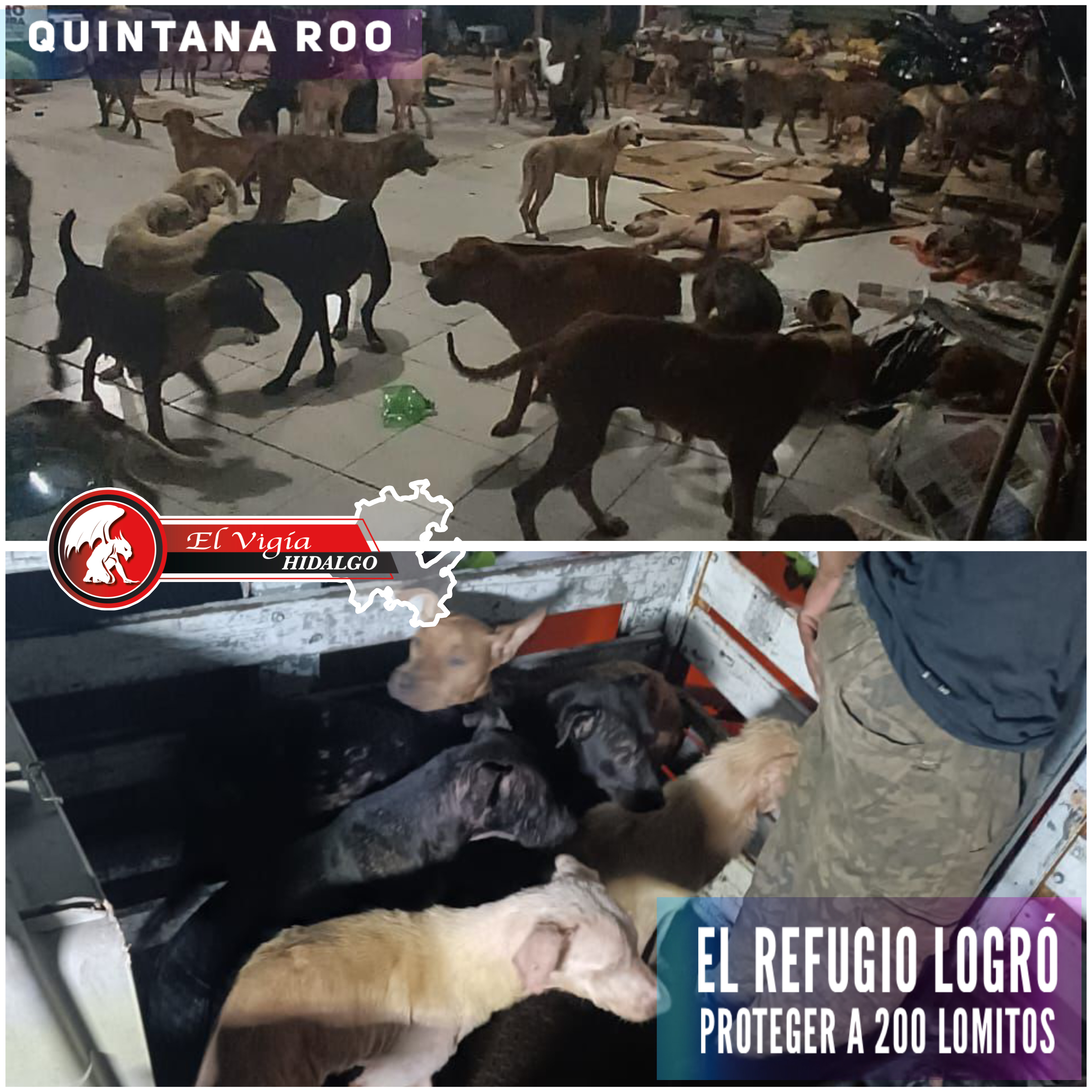 Noticia 1