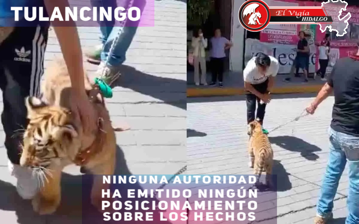 Noticia 1