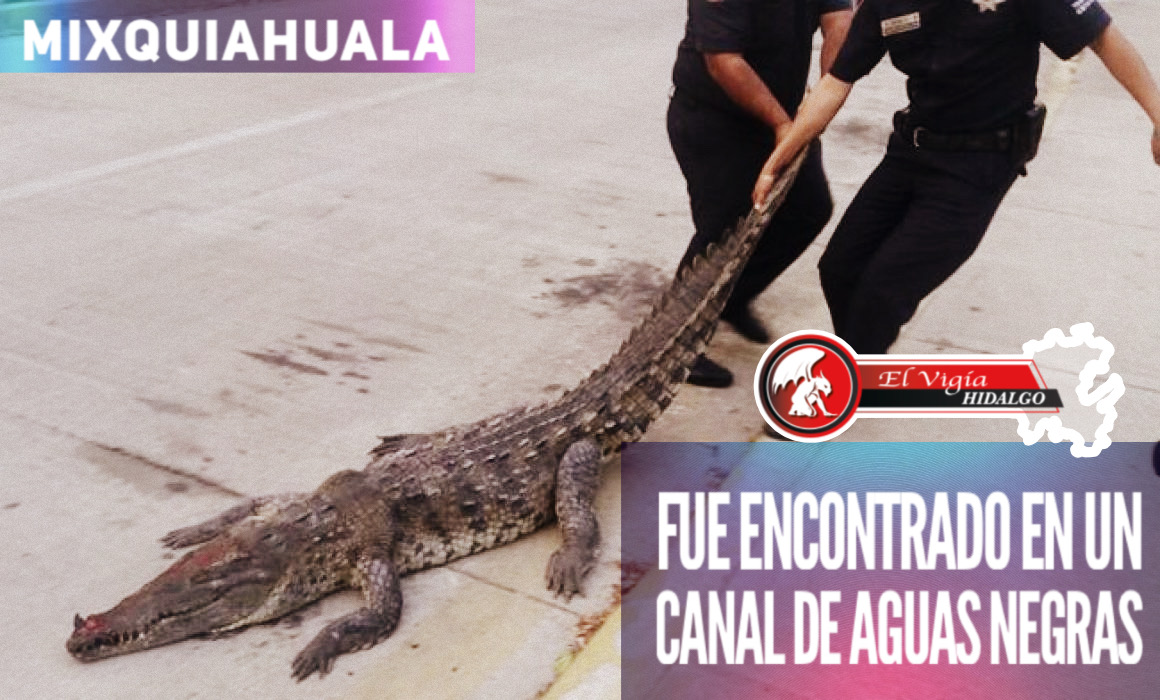 Noticia 1
