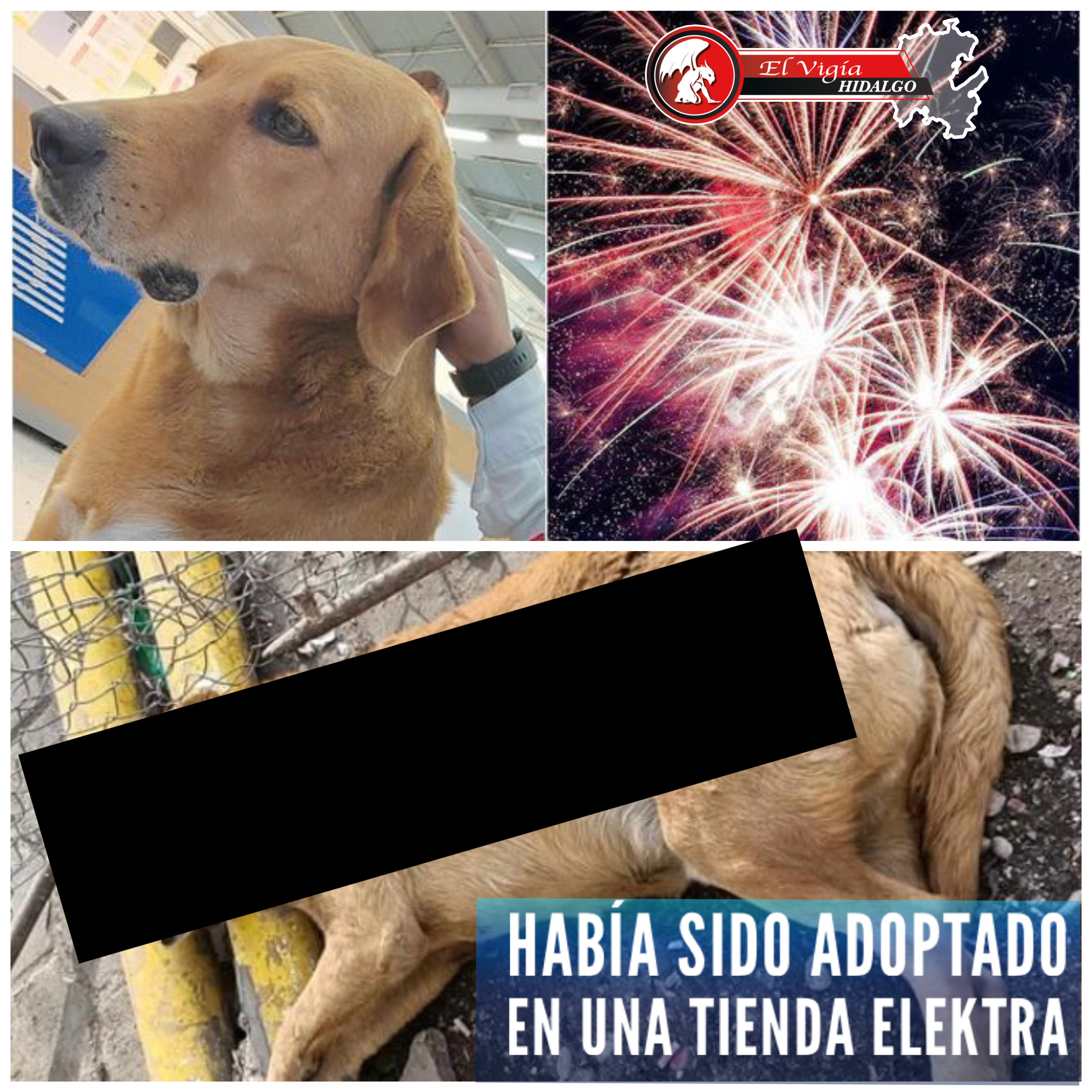 Noticia 1