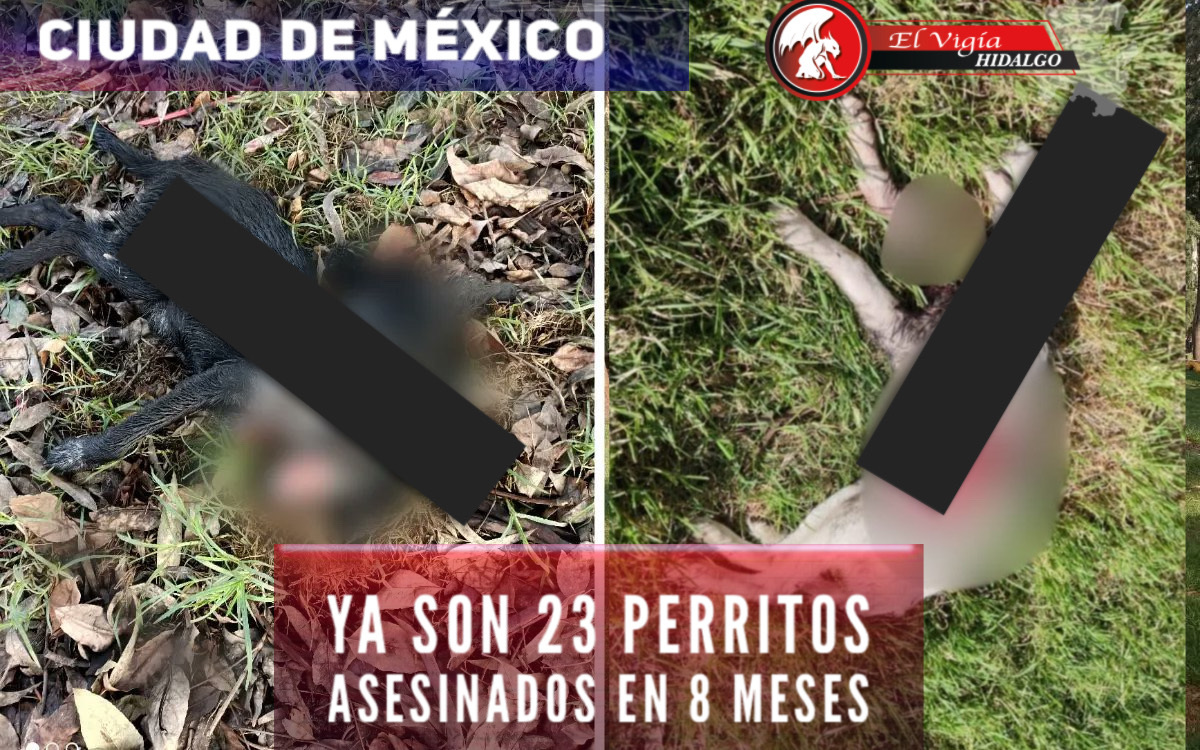 Noticia 1