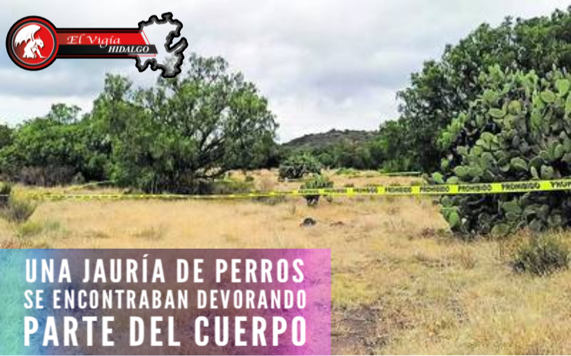 Noticia 1