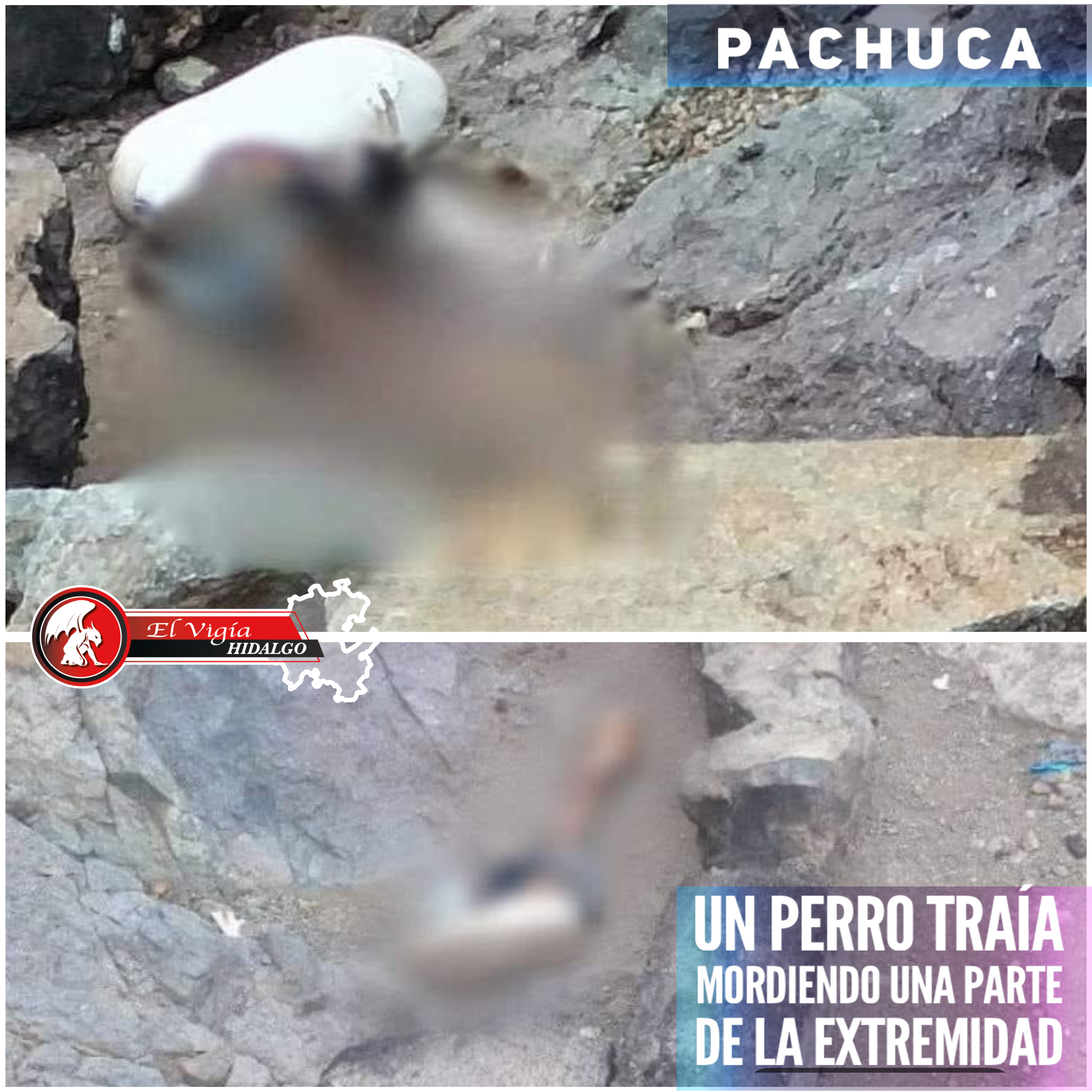 Noticia 1