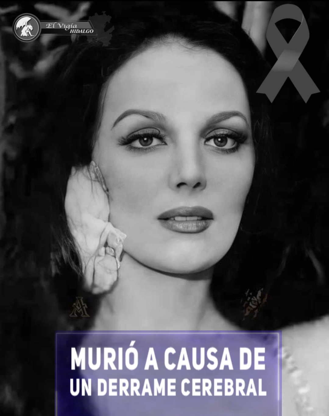 Noticia 1
