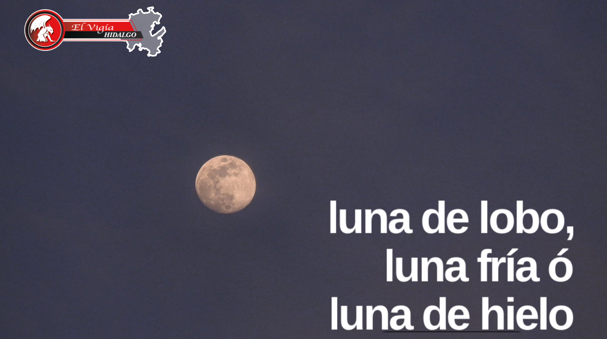 Noticia 1