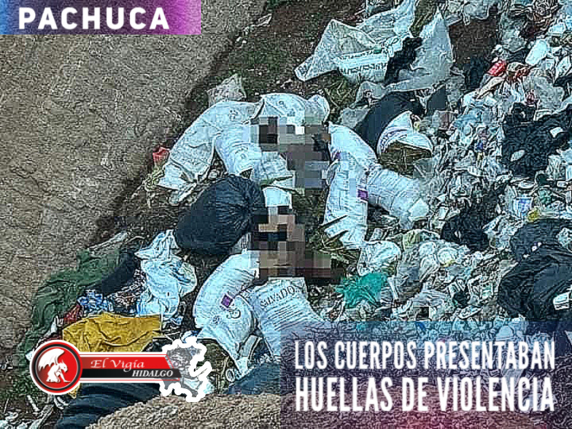 Noticia 1