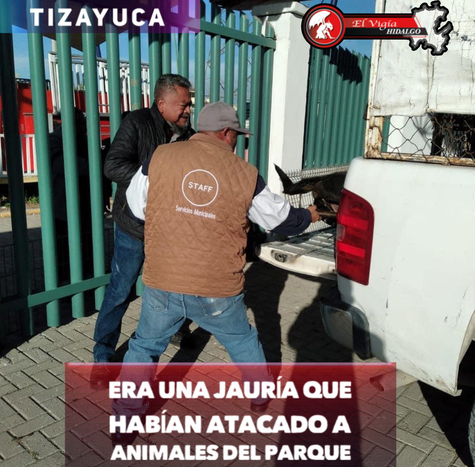 Noticia 1