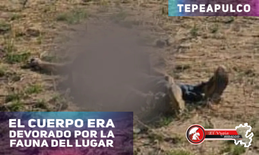 Noticia 1