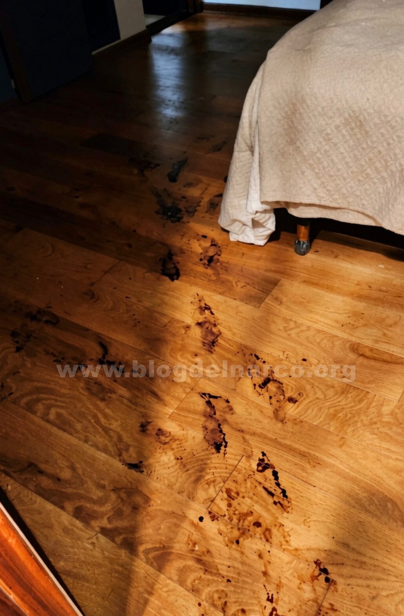 Imagen 6 de 8: De terror el asesinato de Jonathan Meléndez, tecladista de Camilo Séptimo y su familia